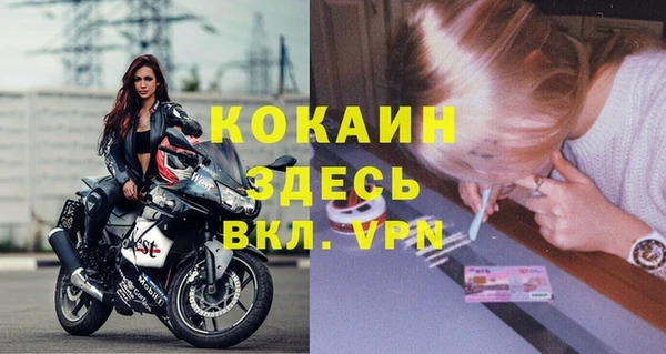 дживик Алзамай
