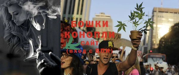 ПСИЛОЦИБИНОВЫЕ ГРИБЫ Аркадак