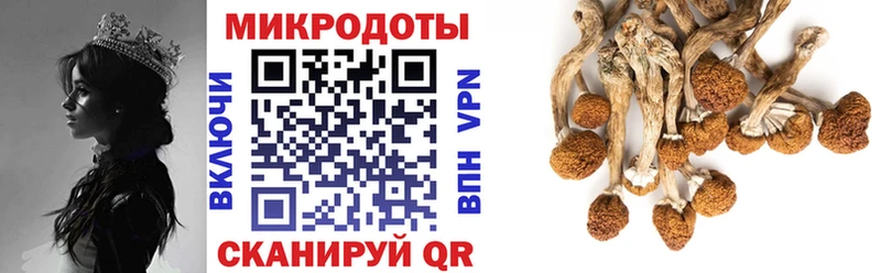 Галлюциногенные грибы мухоморы где купить наркоту Байкальск